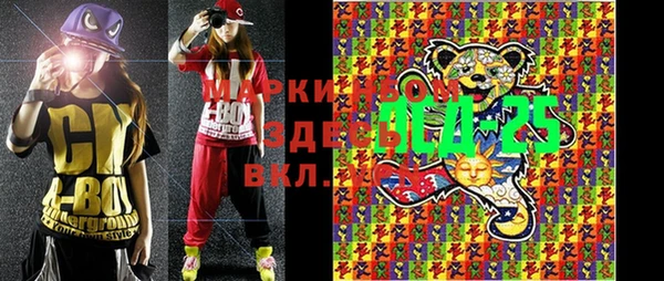 spice Лагань